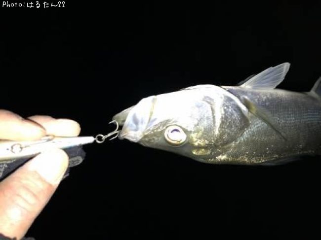 �����Х�