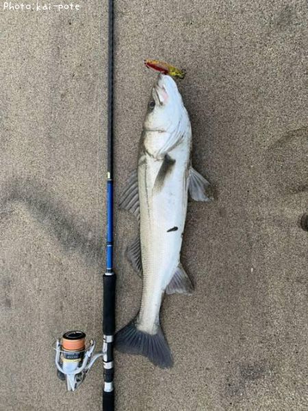 �����Х�