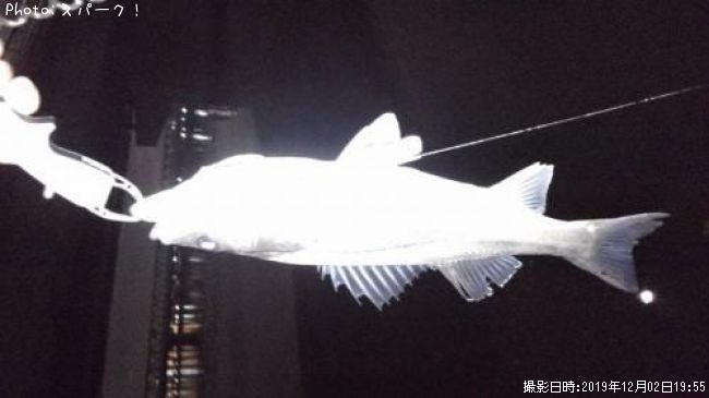 �����Х�