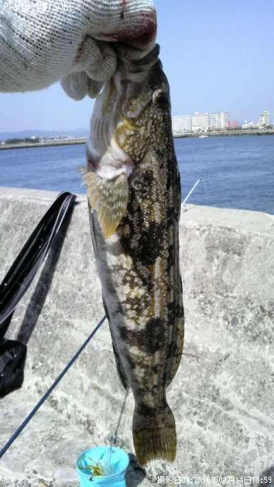 �����ʥ�