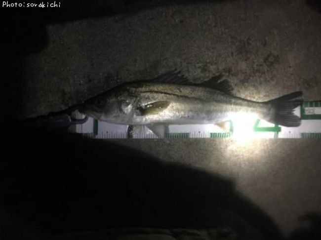 �����Х�