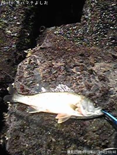 �����Х�