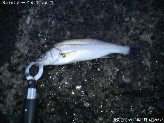 �����Х�