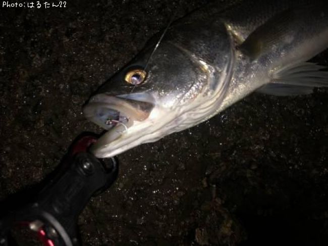 �����Х�