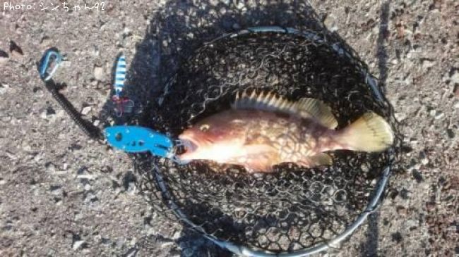 �����ϥ�