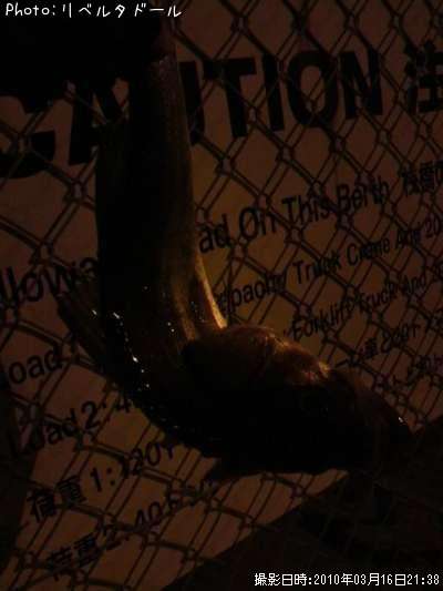 �����Х�