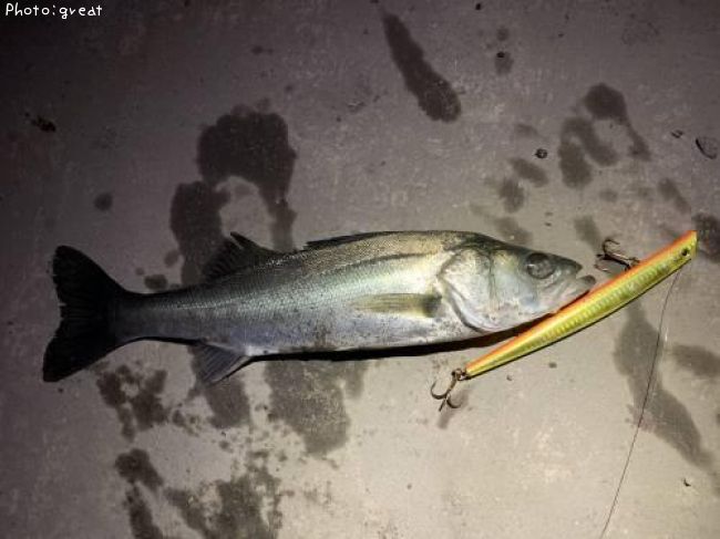 �����Х�