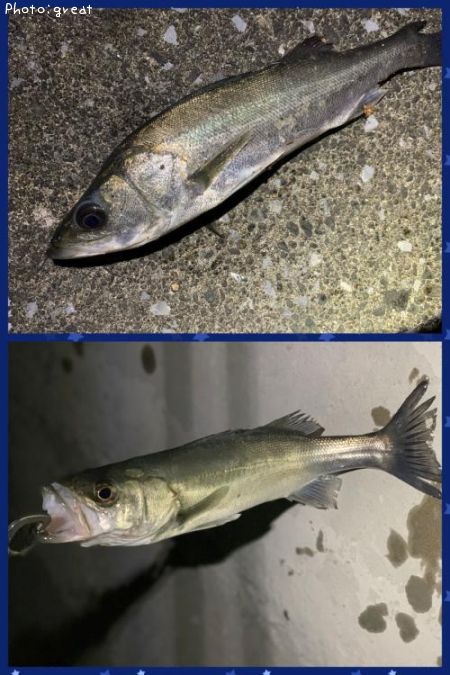 �����Х�