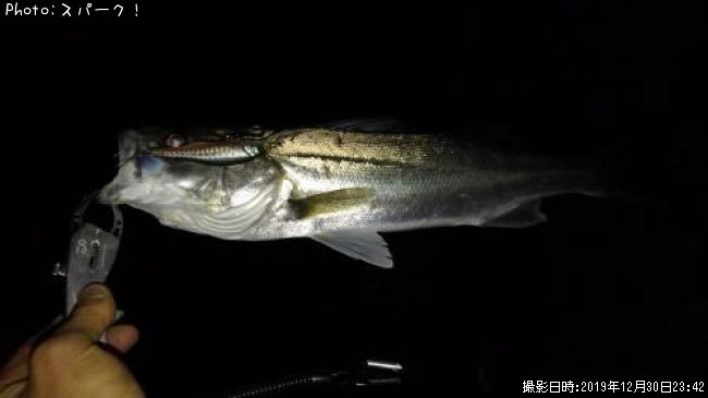 �����Х�