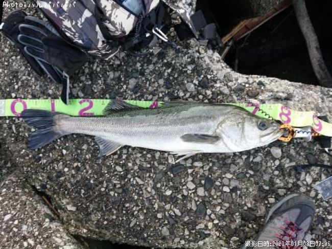 �����Х�