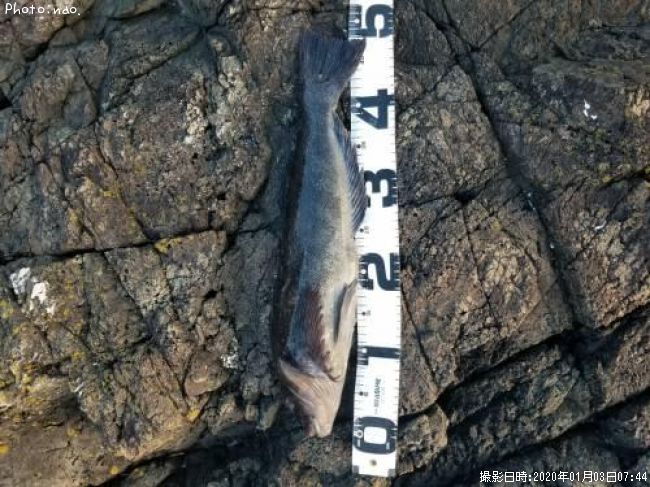 �����ʥ�