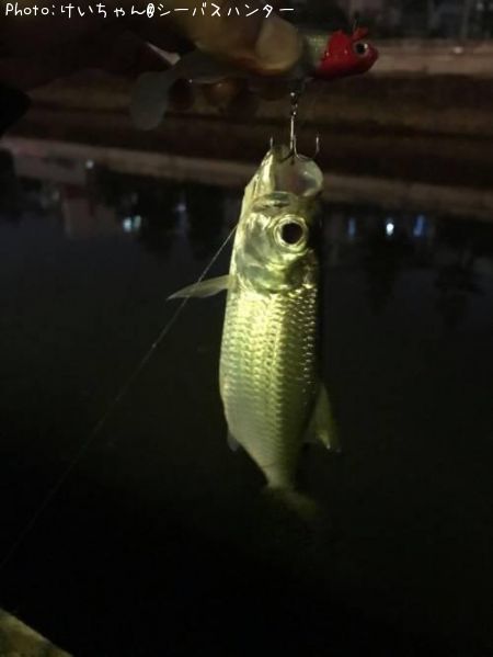 �����ݥ�