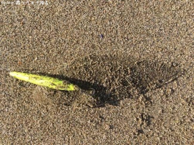 �����ӥ��