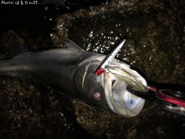 �����Х�