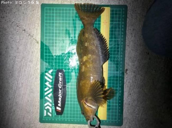 �����ʥ�