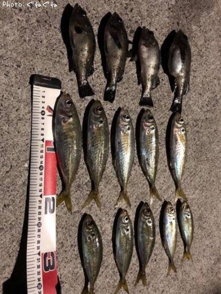 ��������Х�