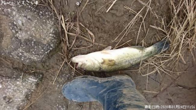 �顼���ޥ���