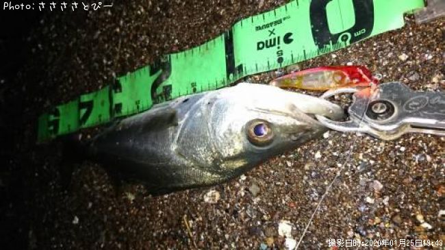 �����Х�