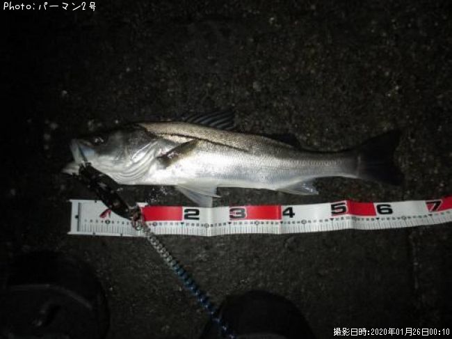 �����Х�