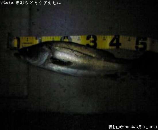 �����Х�