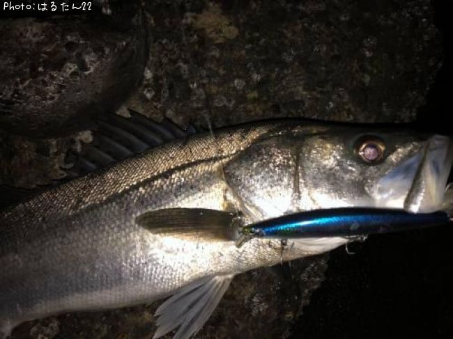 �����Х�