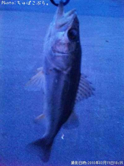 �����Х�