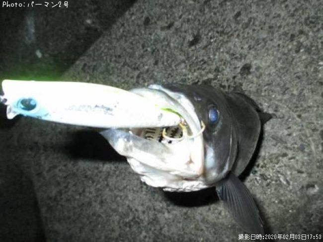 �����Х�