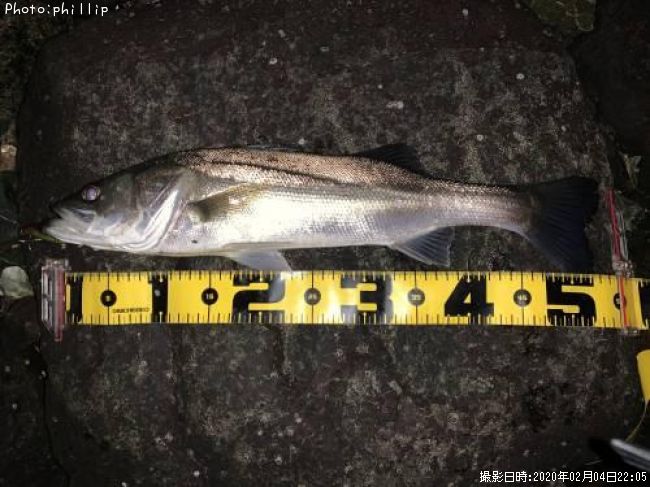 �����Х�