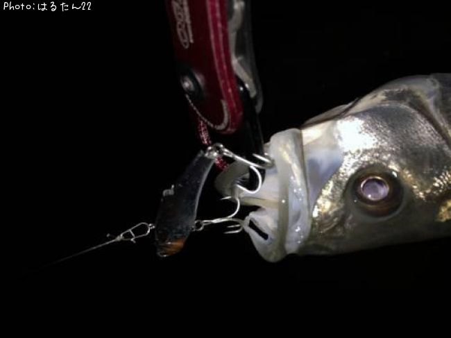 �����Х�