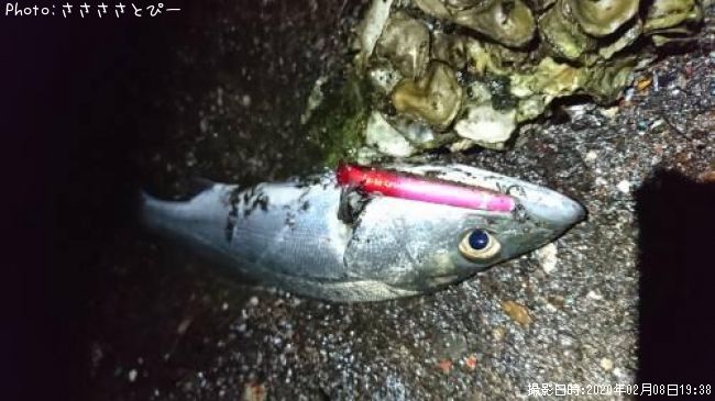 �����Х�