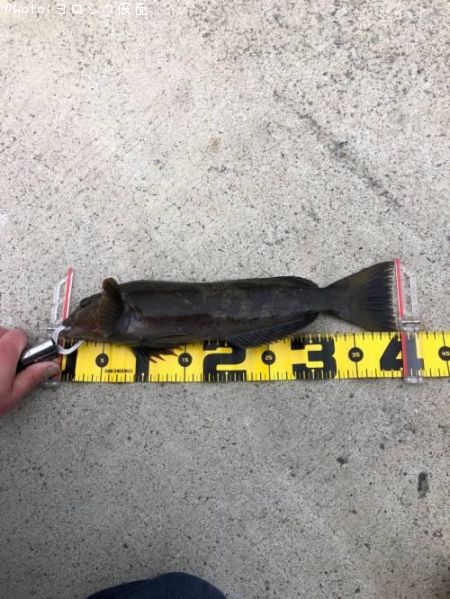 �����ʥ�