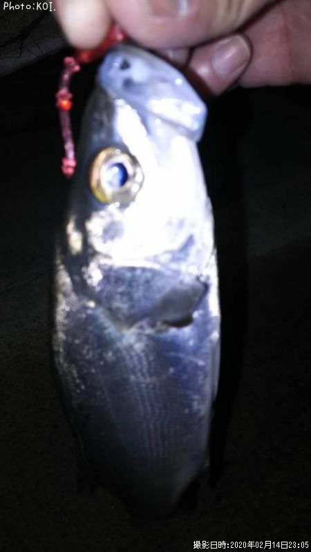 �����Х�