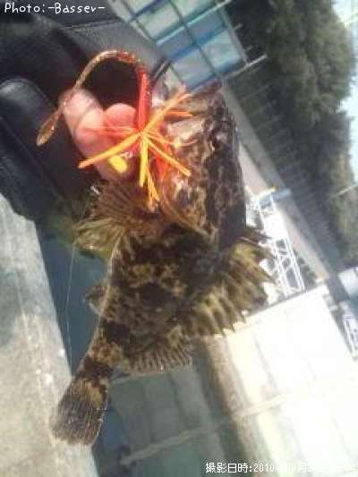 �����Υ���Х�