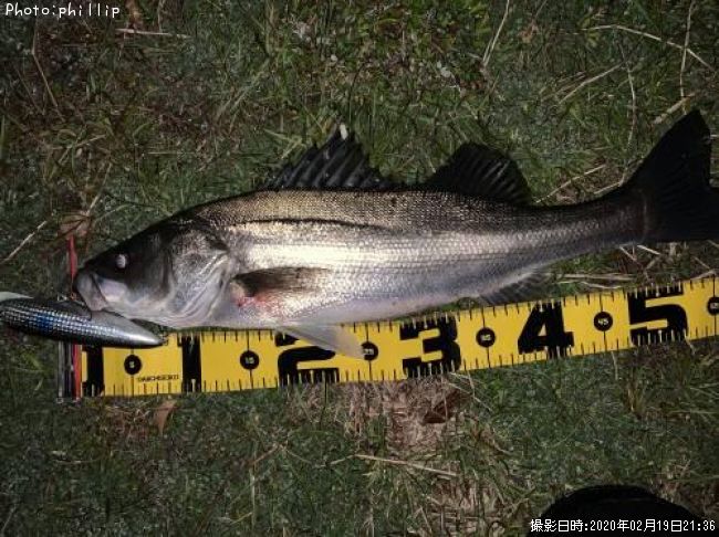 �����Х�