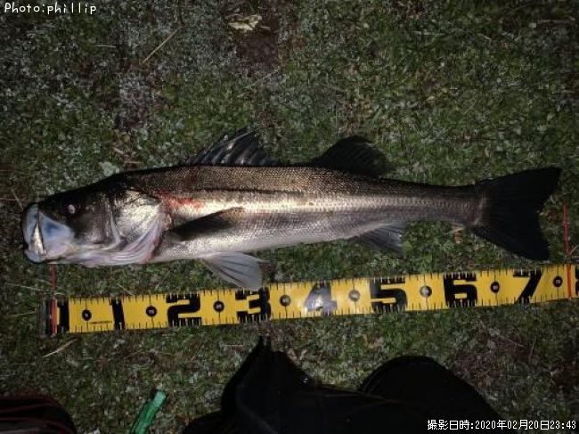 �����Х�