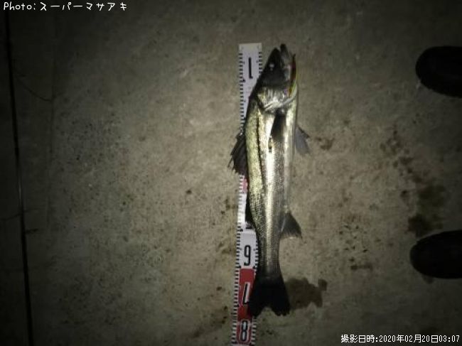 �����Х�