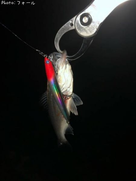 �����Х�