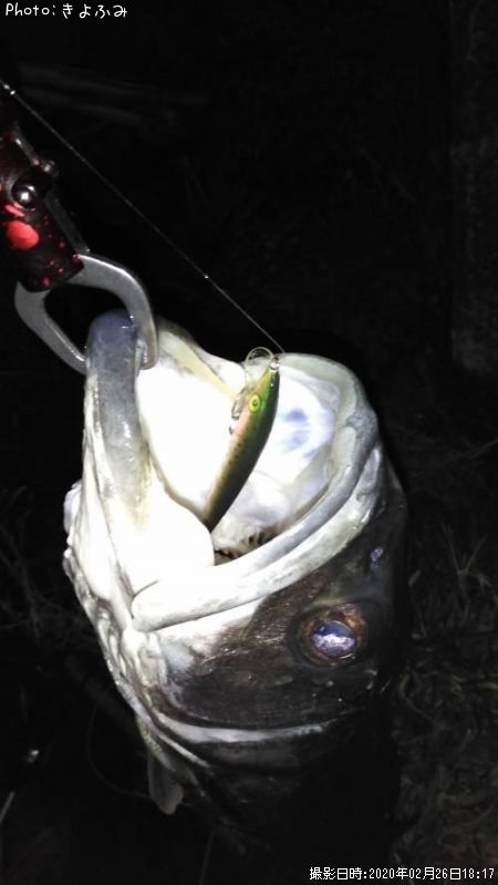 �����Х�