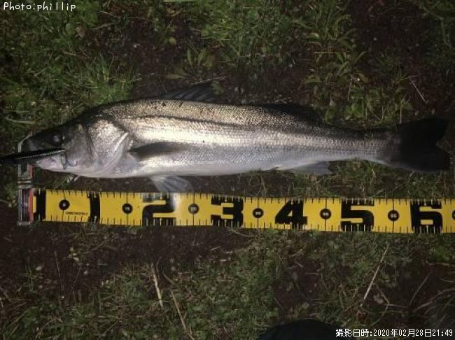 �����Х�