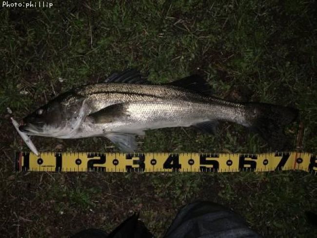 �����Х�