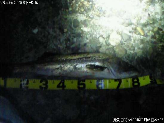 �����Х�