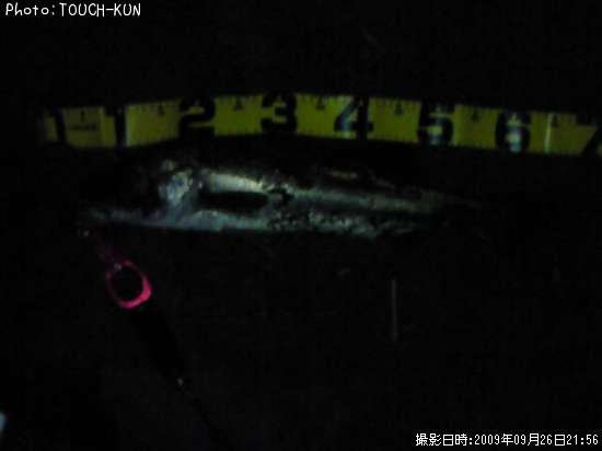 �����Х�