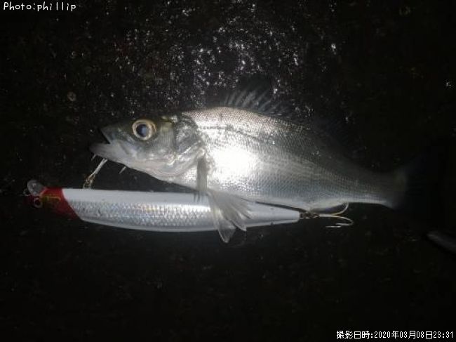 �ҥ饻����