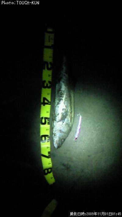 �����Х�