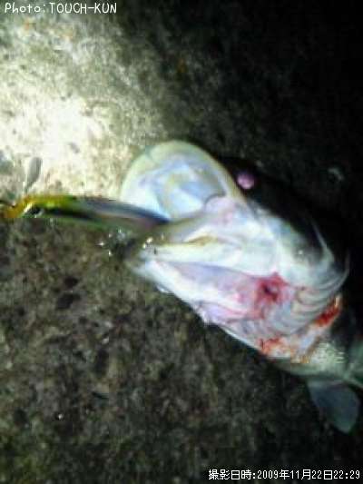 �����Х�