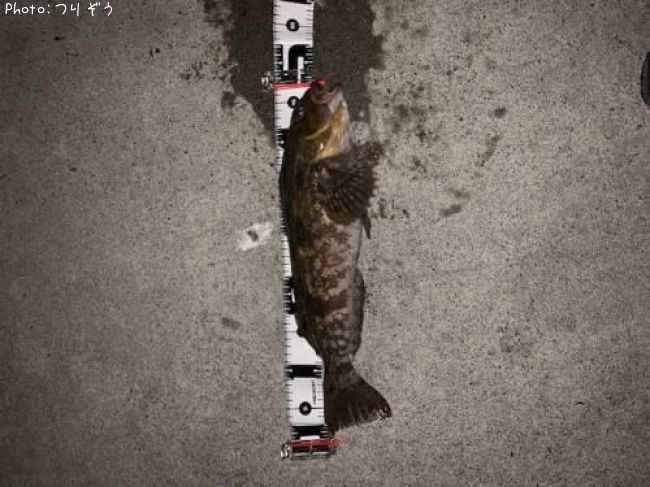 �����ʥ�