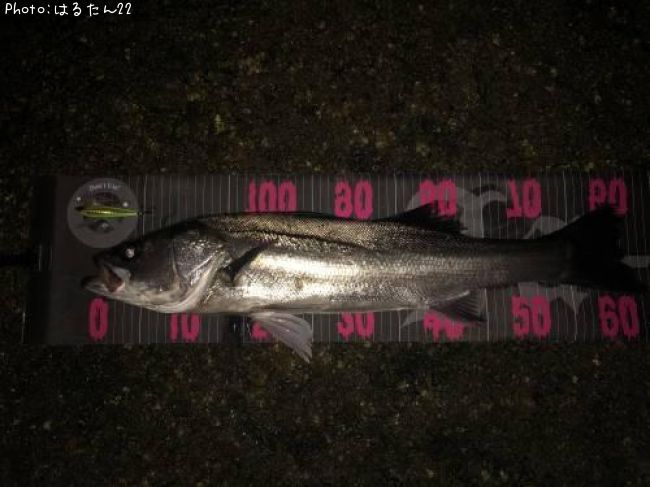 �����Х�