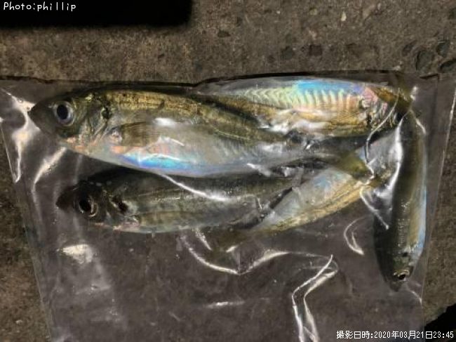 ��������Х�