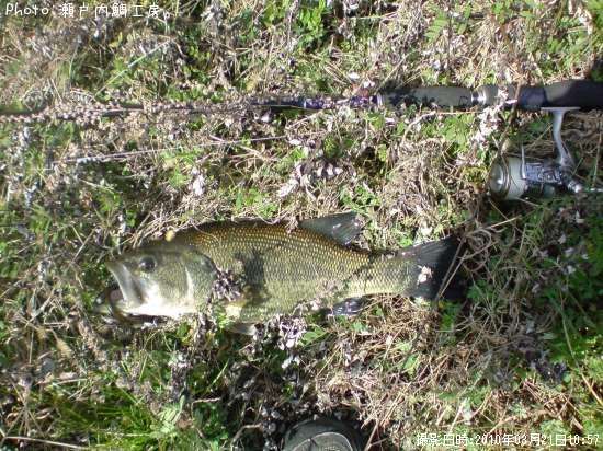 �֥�å��Х�