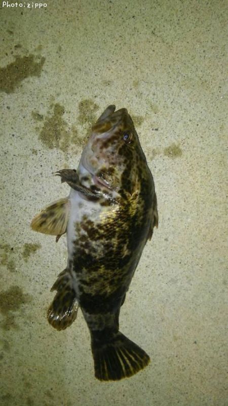 �����Υ���Х�